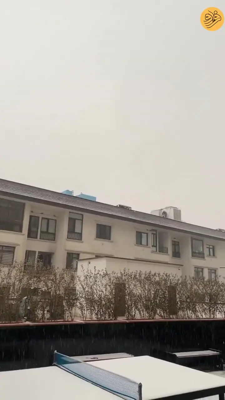 بارش نخستین برف زمستانی در شمال تهران