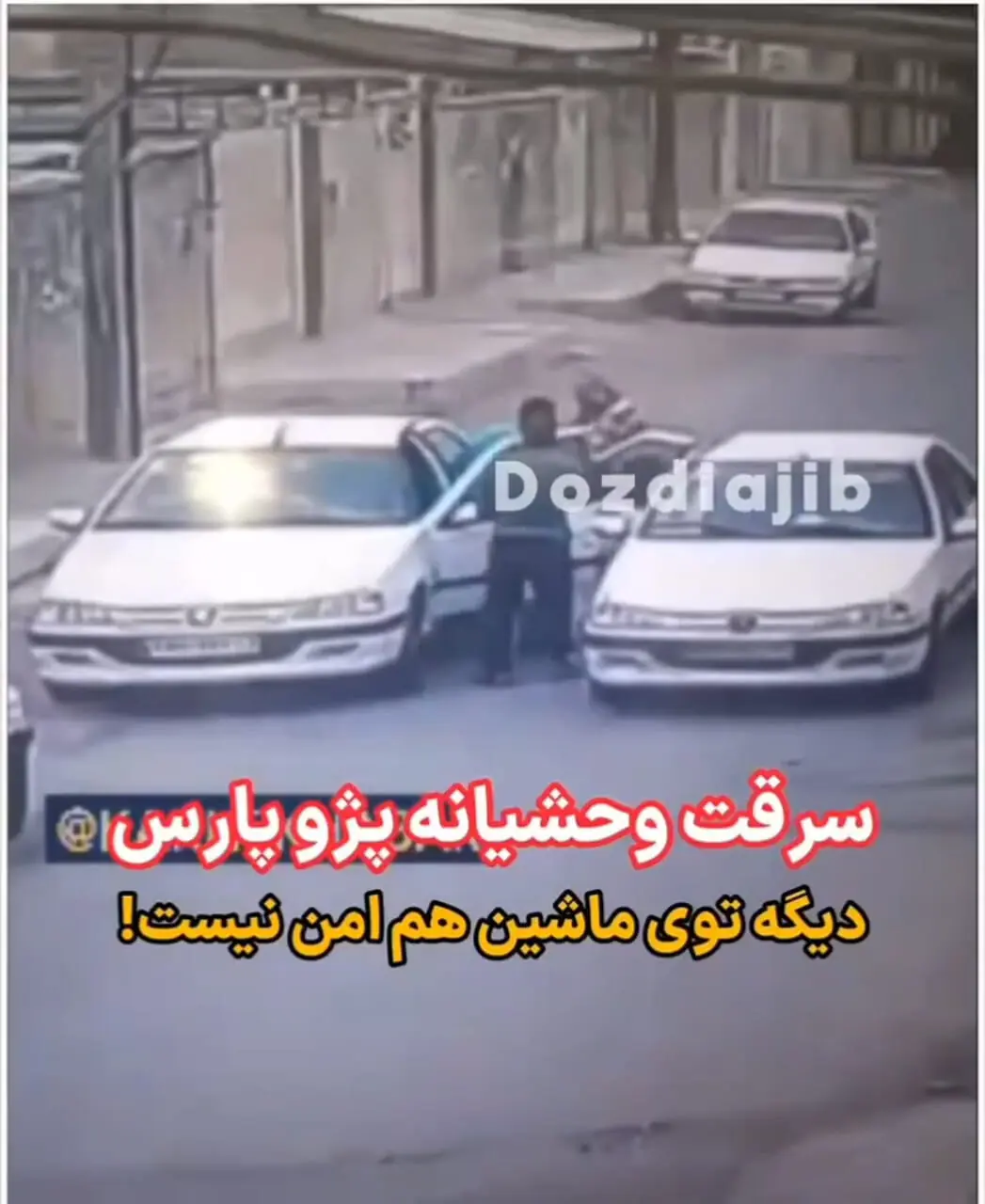 لحظه باورنکردنی سرقت وحشیانه پژو پارس با حضور راننده داخل خودرو!