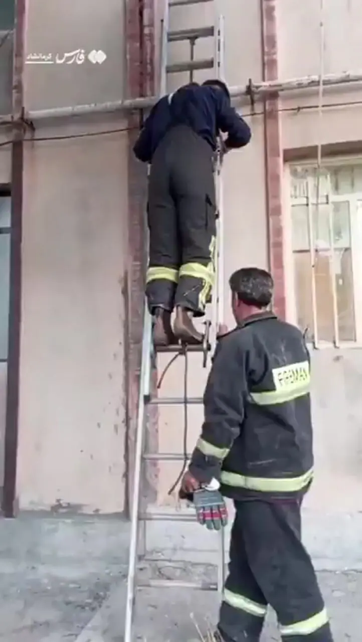 نجات پرستوی گرفتار از دل دیوار توسط آتش‌نشانان کرمانشاهی