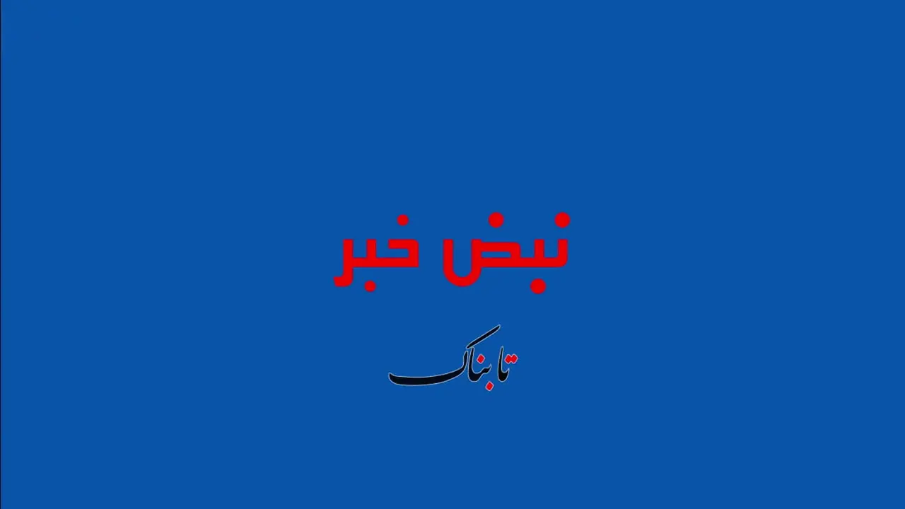 تصاویر گشت شبانه جنگنده‌های میگ 29 ارتش بر فراز تهران