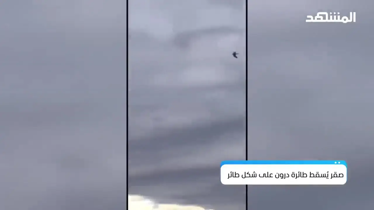 وقتی شاهین یک پهپاد را طعمه دید