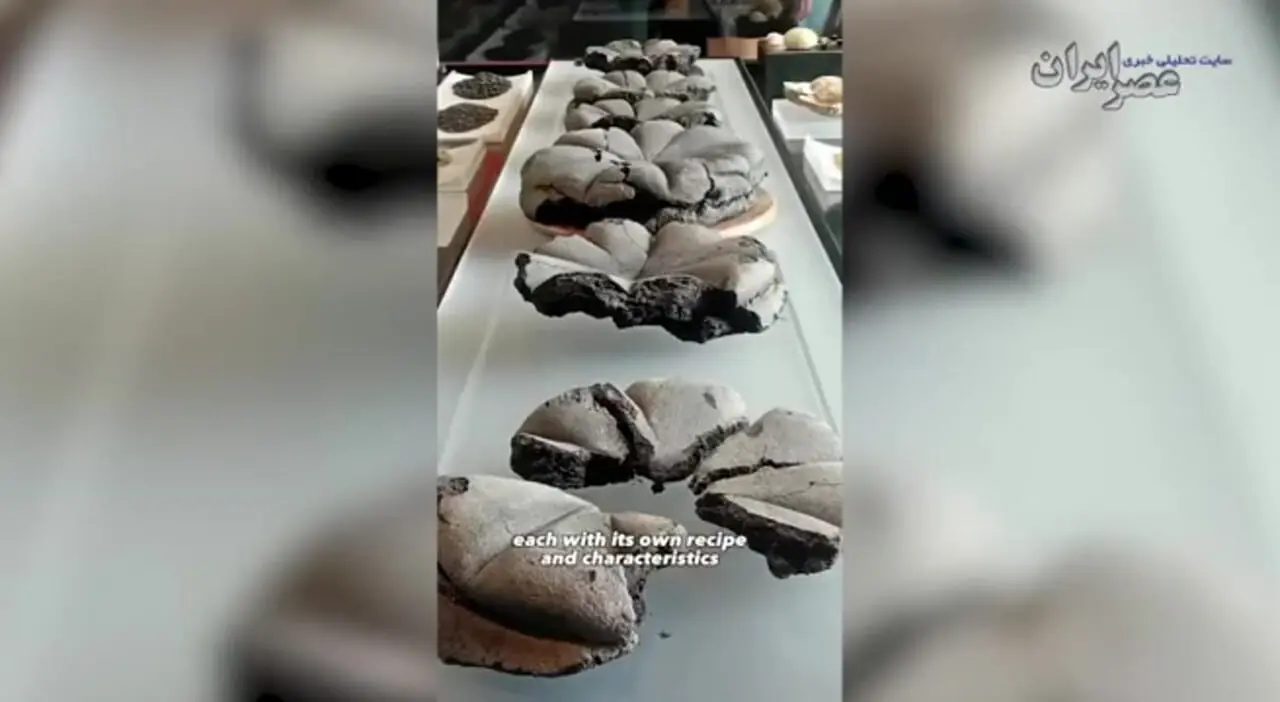 کشف نان‌های ۲۰۰۰ ساله در پمپیی؛ شواهدی از زندگی روزمره در آستانه فاجعه آتشفشانی