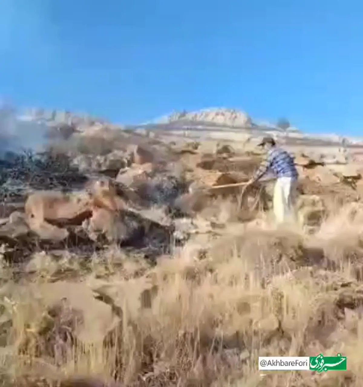 تصاویری از آتش‌سوزی در بخش‌هایی از پارک ملی تندوره
