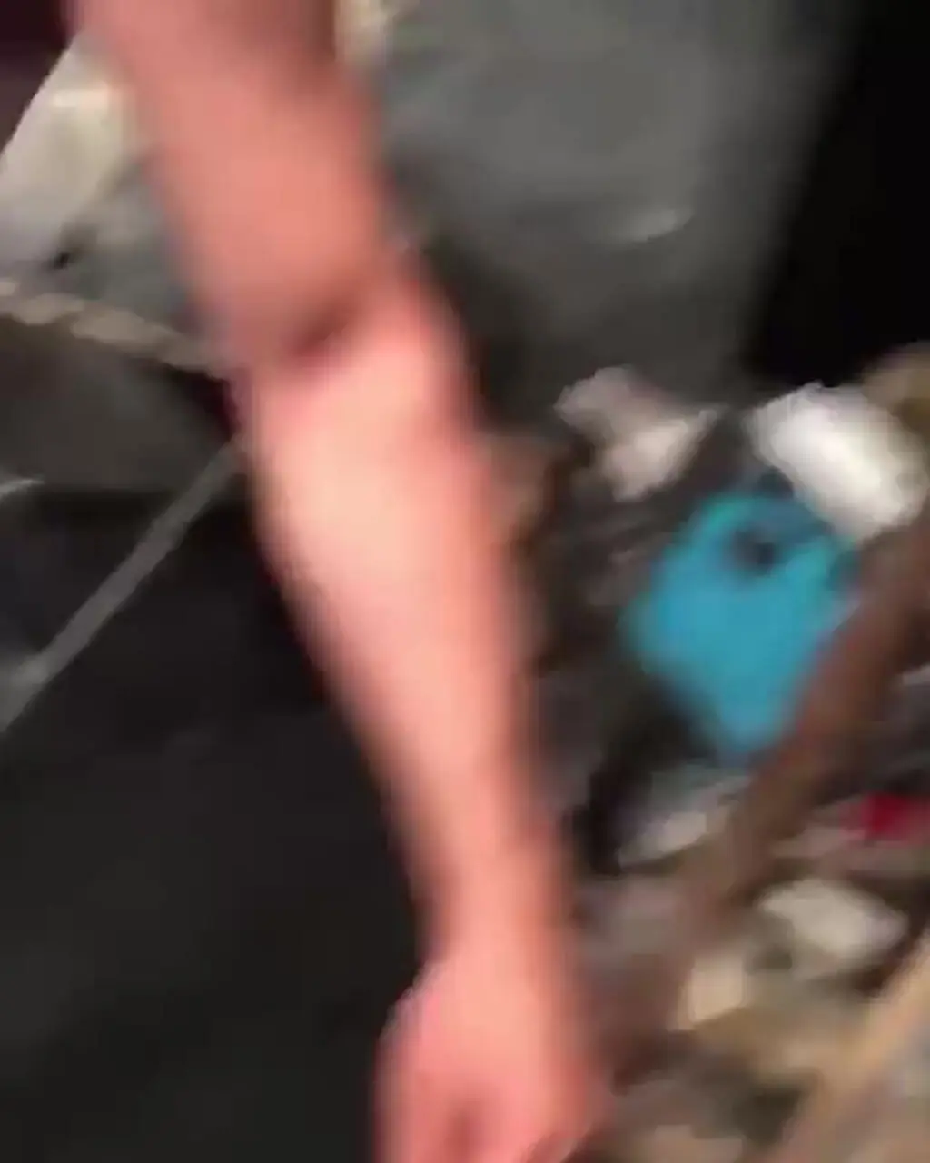 فیلم دستگیری علی شادمان با زهرماری!